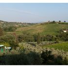 Blick auf San Gimignano