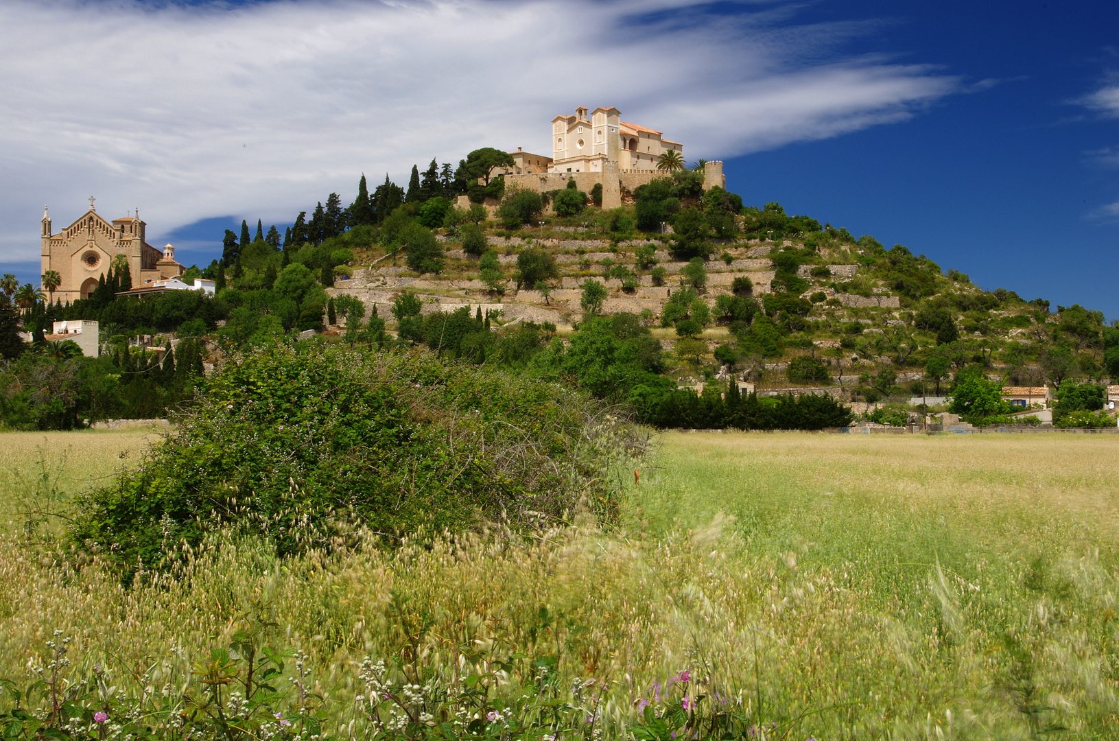 Blick auf San Salvador/Arta