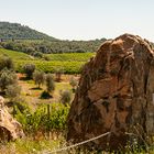 Blick auf Sant'Angelo in Colle