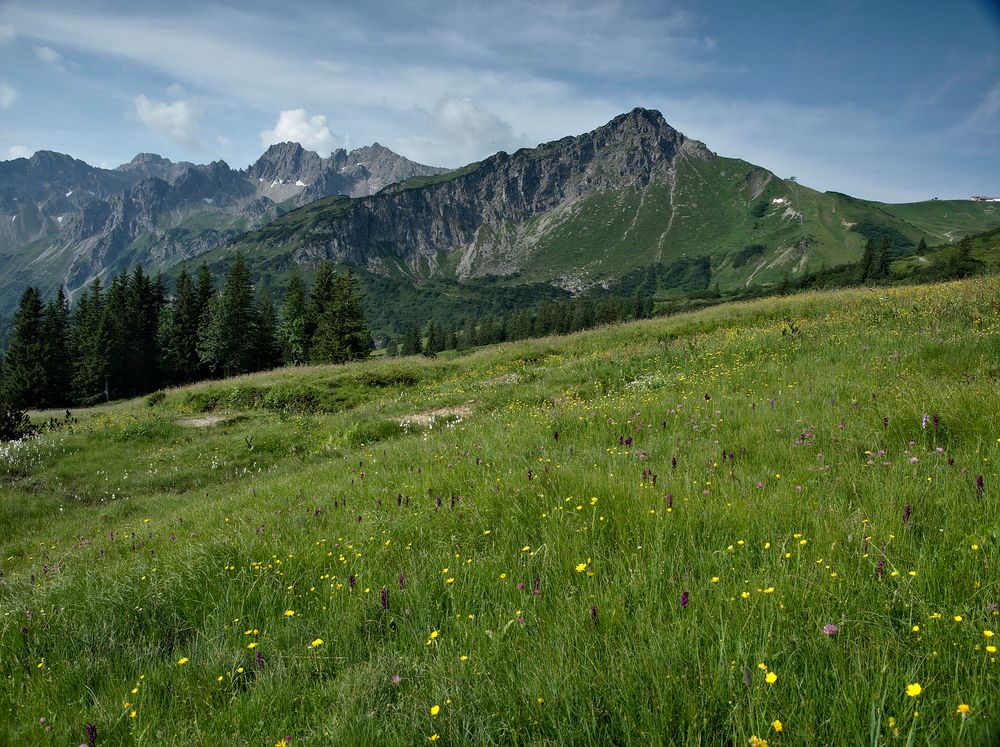 Blick auf Schafalpenköpfe und Co