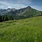 Blick auf Schafalpenköpfe und Co