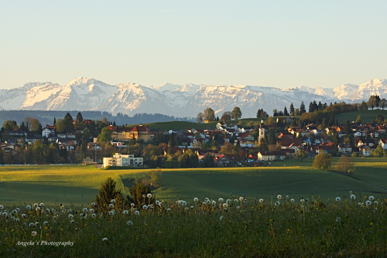 Blick auf Scheidegg mit Bergpanorama