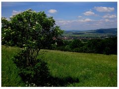 Blick auf Scheßlitz