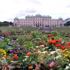 Blick auf Schloß Belvedere in Wien