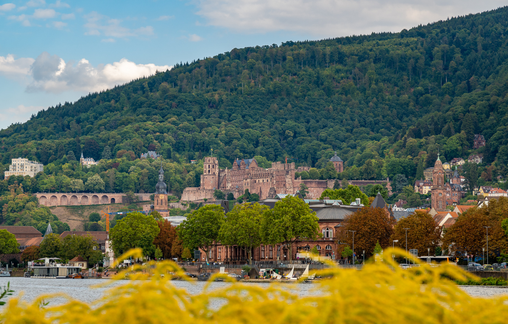 Blick auf Schloss Heidelberg