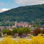 Blick auf Schloss Heidelberg