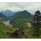 Blick auf Schloß Hohenschwangau