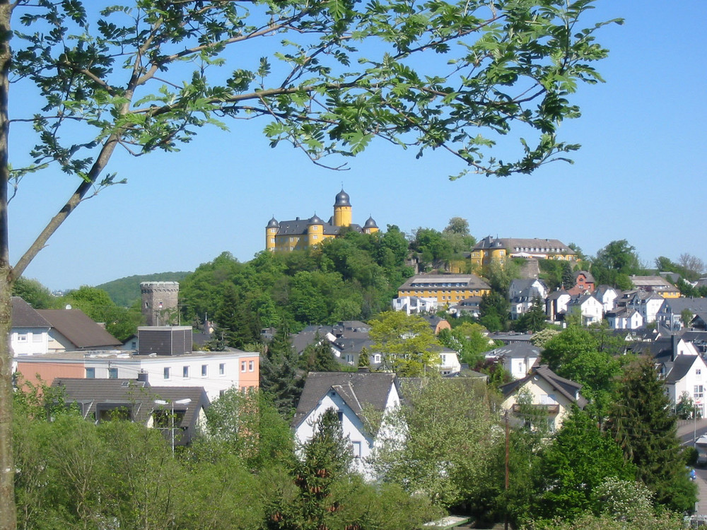 Blick auf Schloß Montabaur