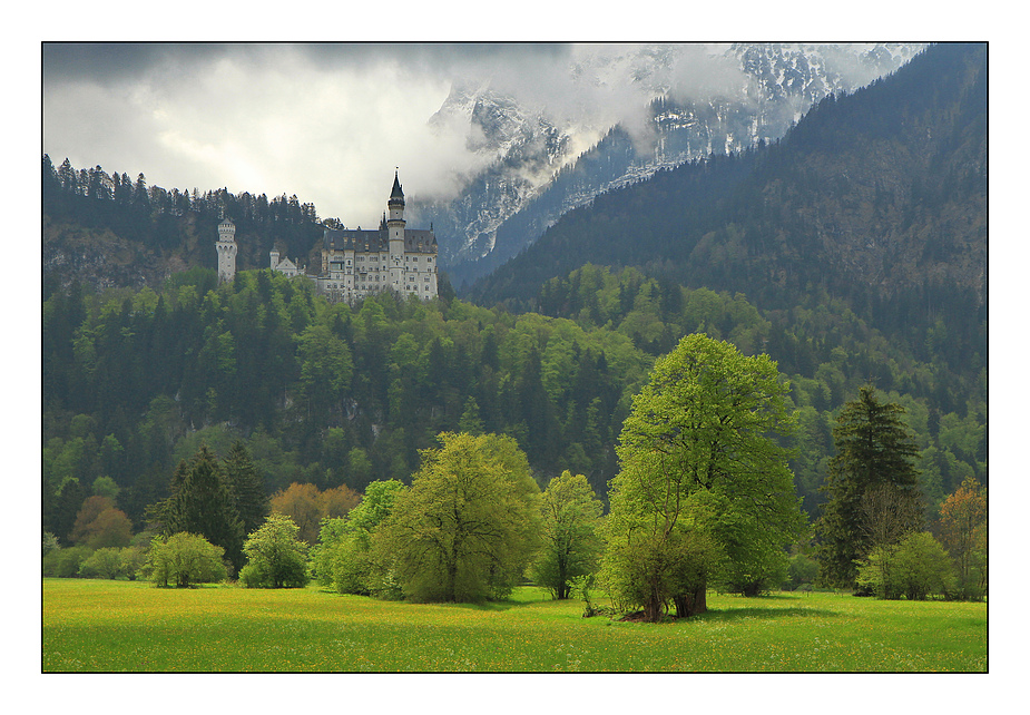 Blick auf Schloß Neuschwanstein