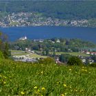 Blick auf Schloss Ort...