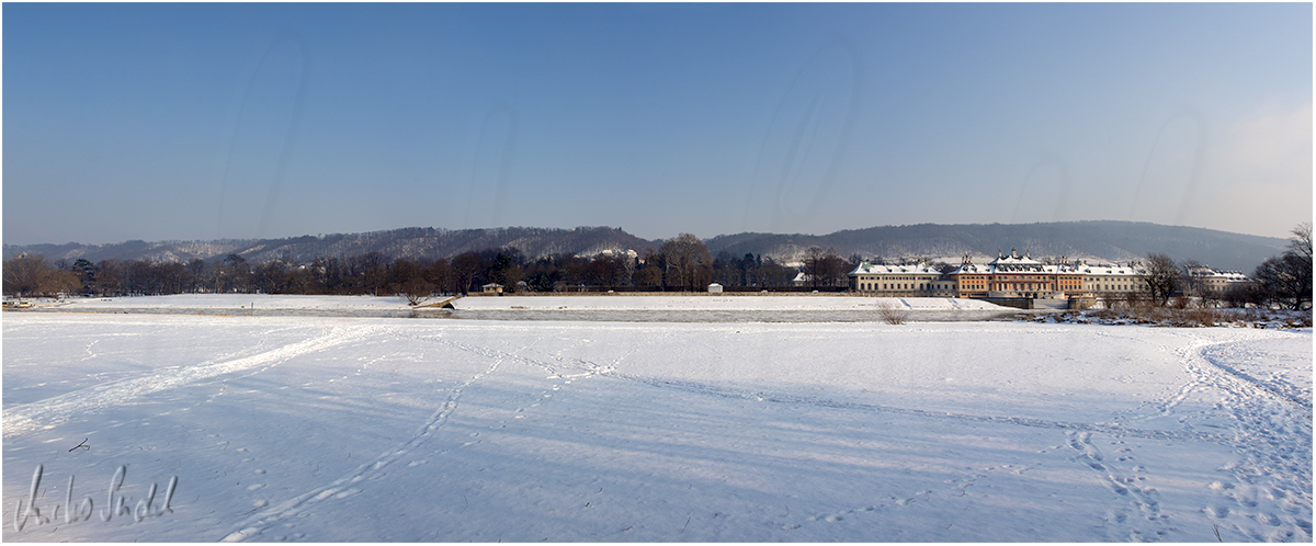 Blick auf Schloss Pillnitz