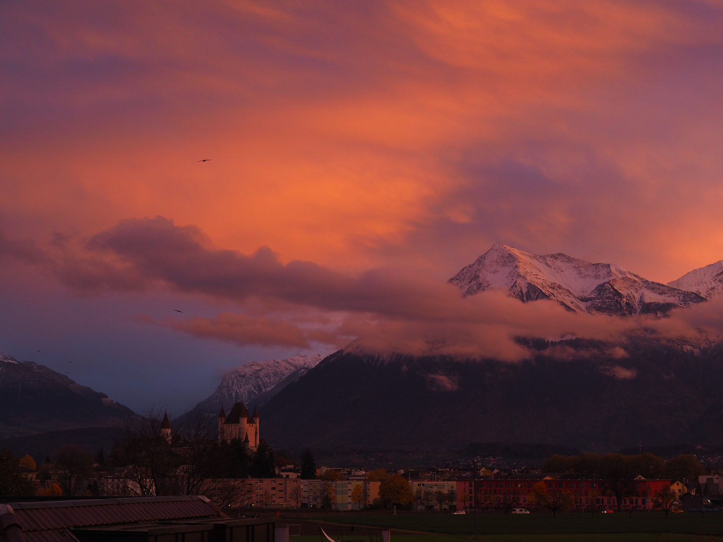 Blick auf Schloss Thun und Niesen