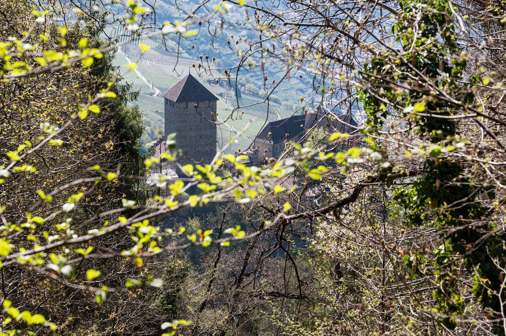 Blick auf Schloß Tirol