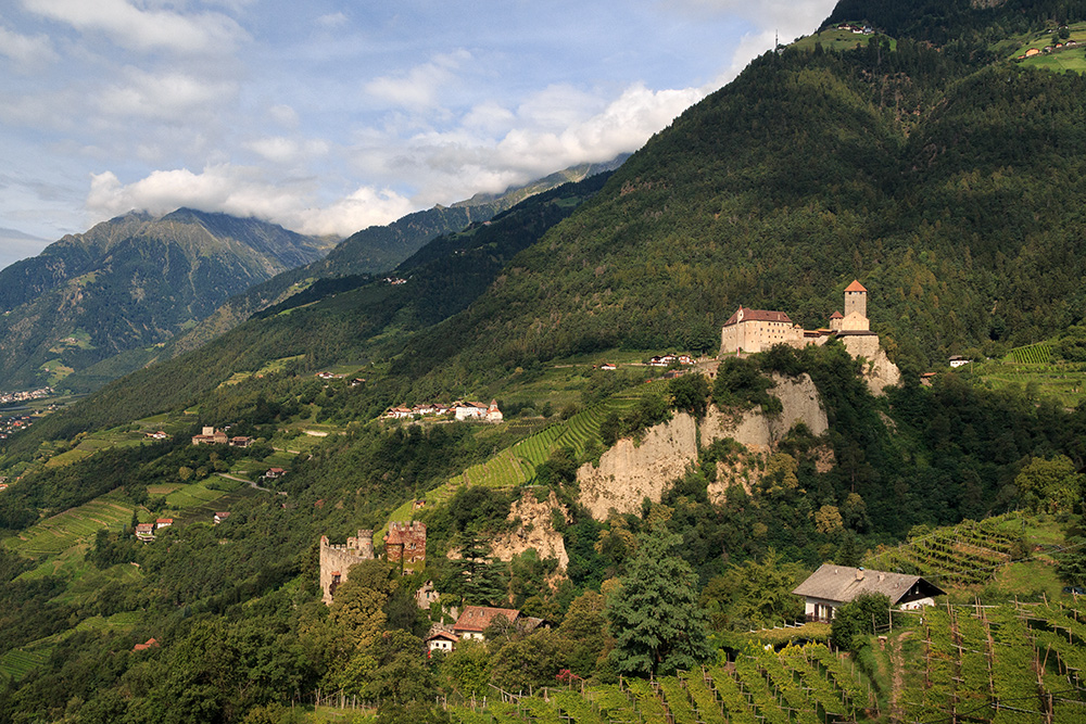 Blick auf Schloß Tirol und das Meraner Umland