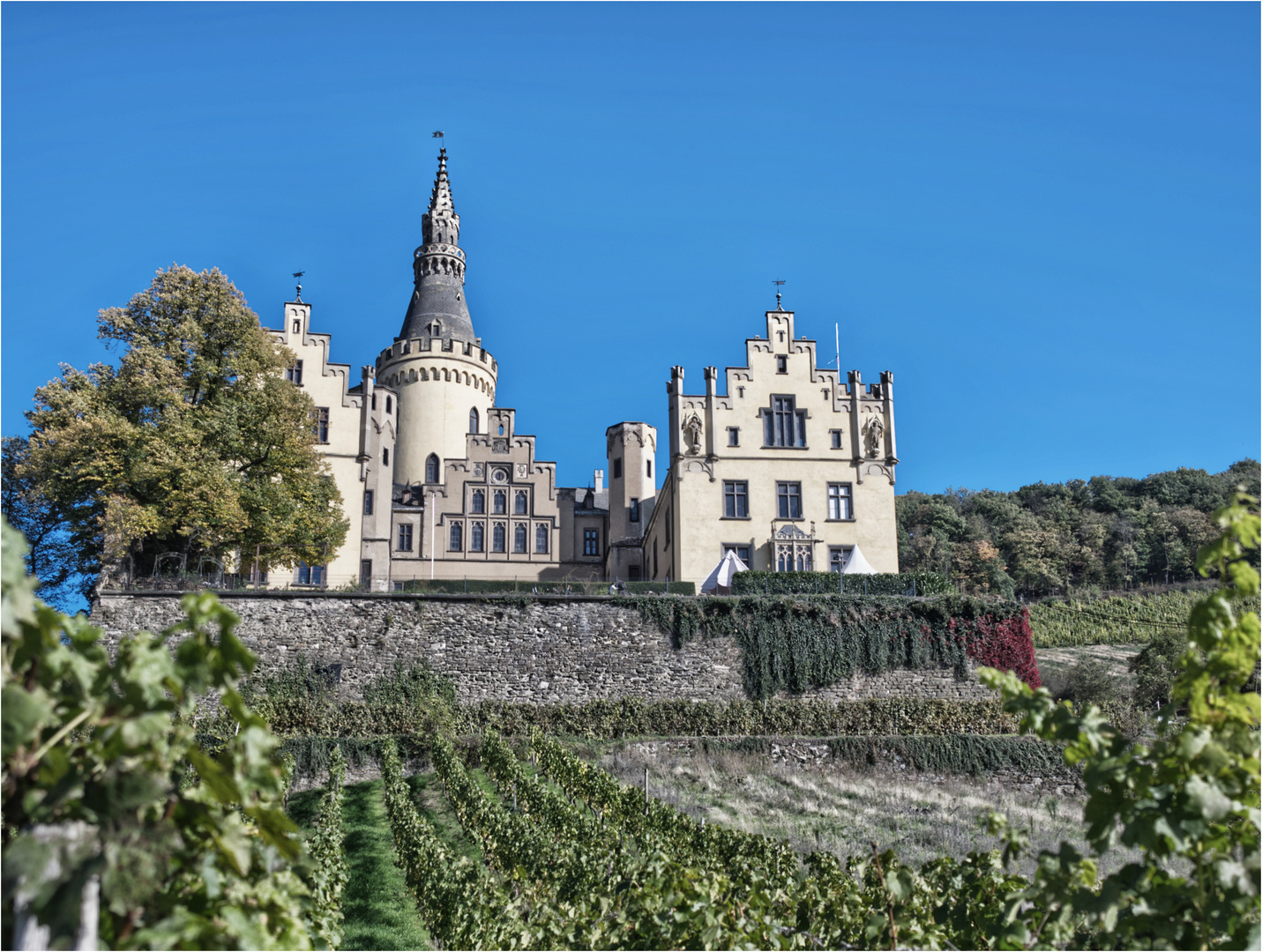 Blick auf Schloss - Vue sur ls château Arenfels 