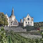 Blick auf Schloss - Vue sur ls château Arenfels 