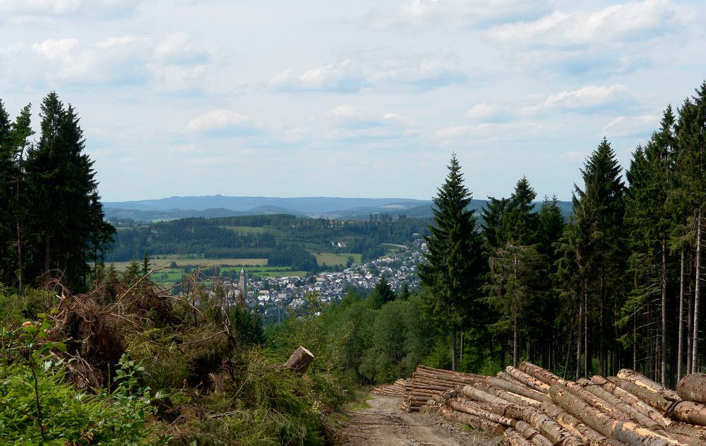 Blick auf Schmallenberg