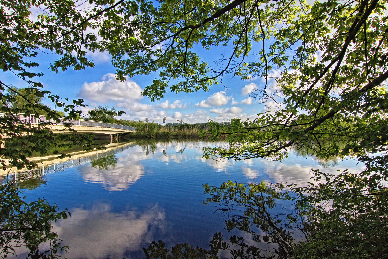 Blick auf Schoof's Brücke 