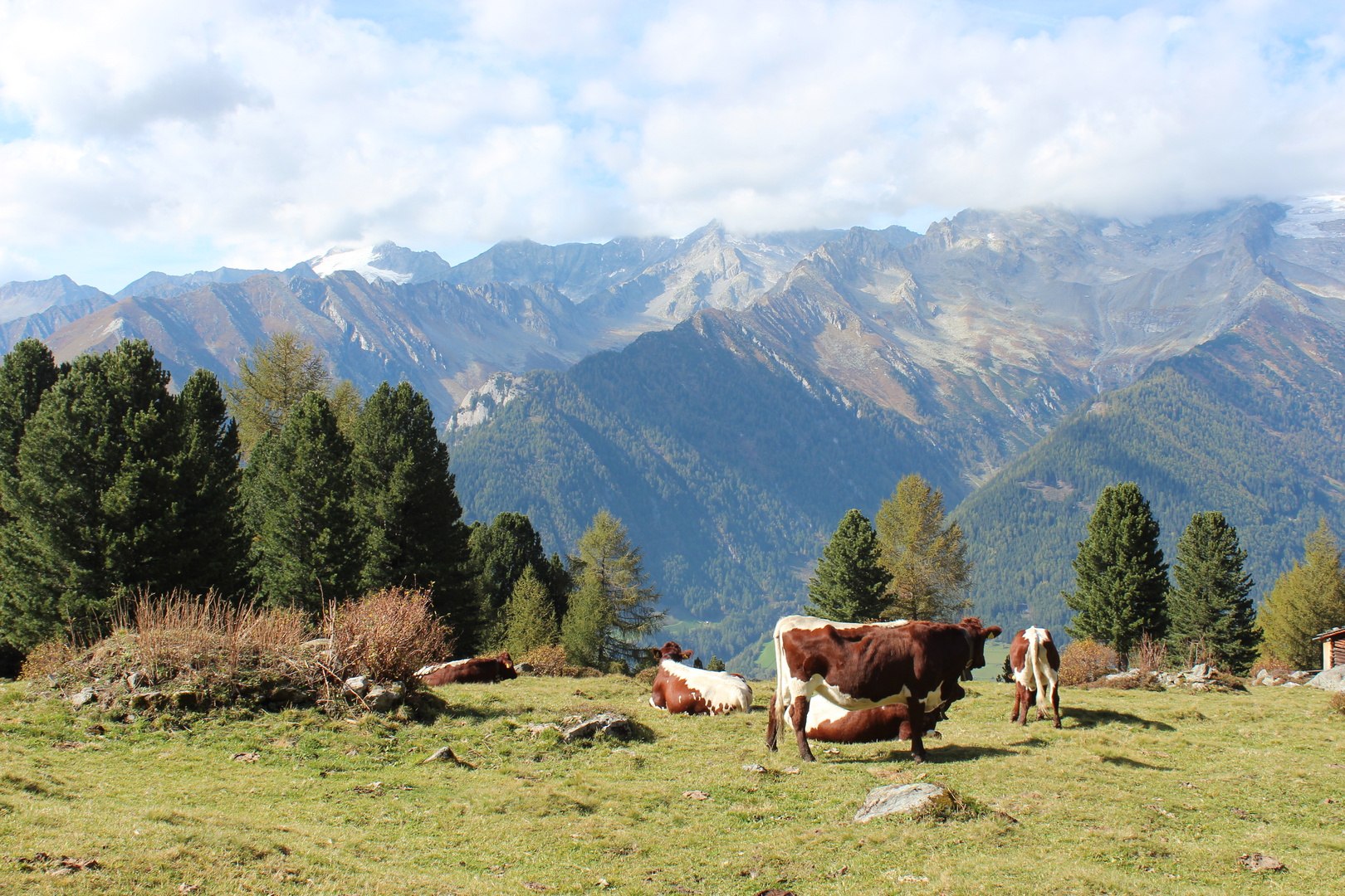 Blick auf Schwarzenstein