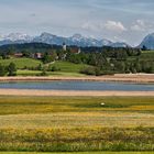 Blick auf Seeg im Allgäu