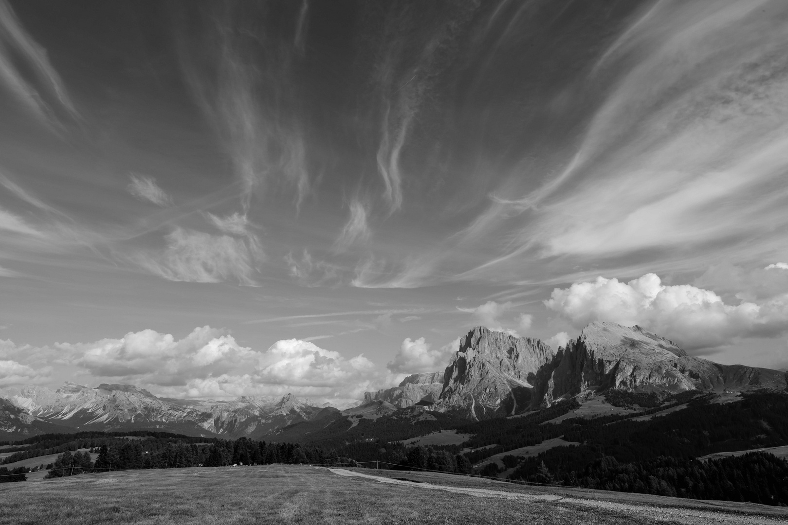 Blick auf Sella und Langgofel