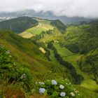 Blick auf Sete Cidades