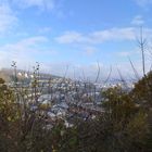 Blick auf Siegen