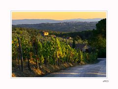 Blick auf Siena