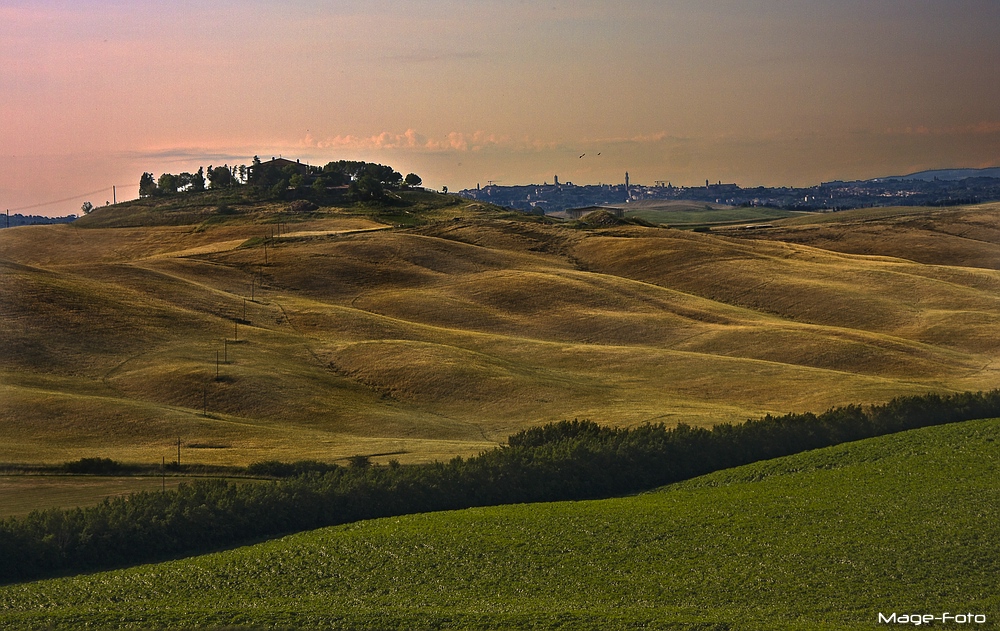 Blick auf Siena