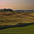 Blick auf Siena