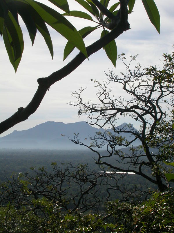 Blick auf Sigiria