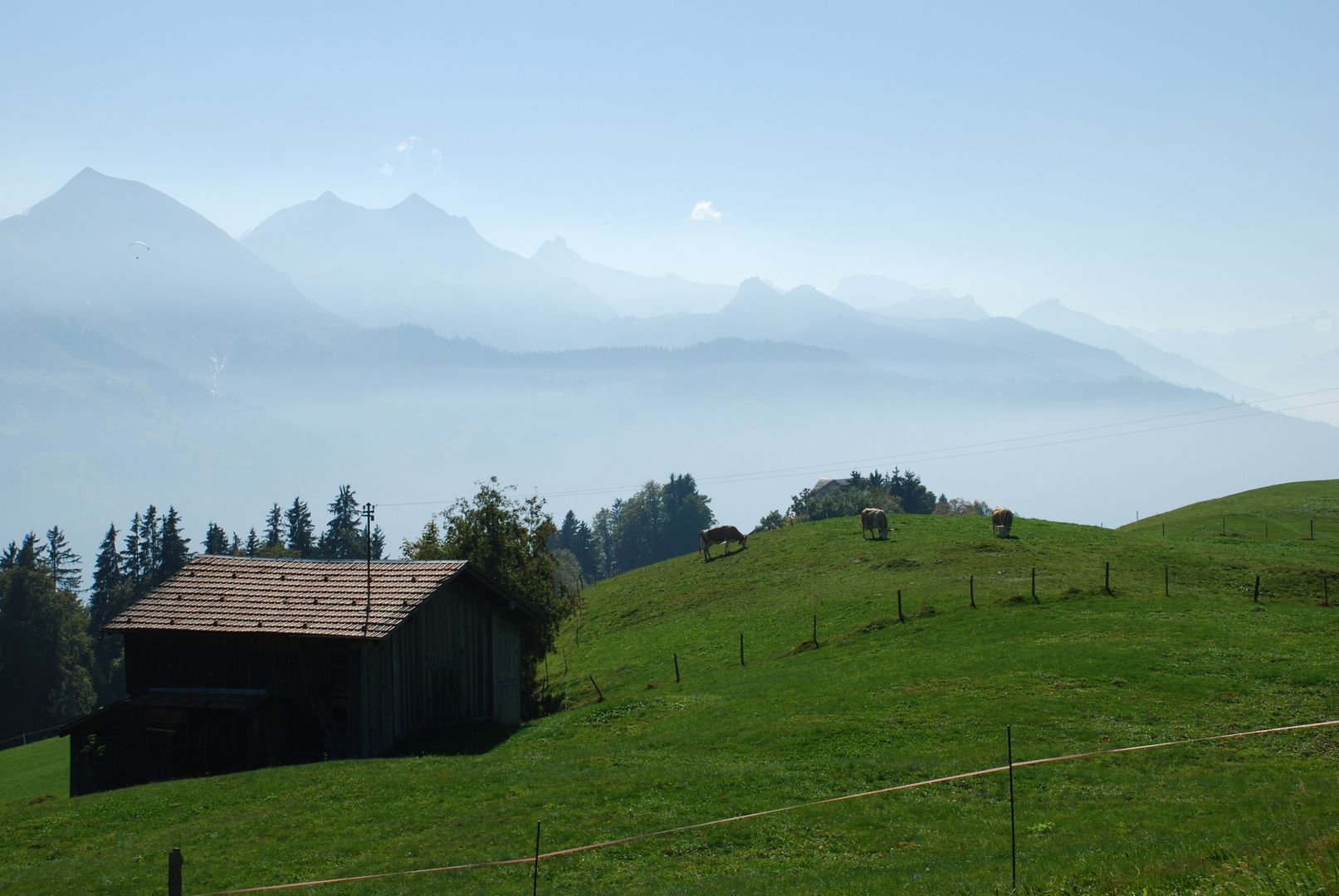 Blick auf spätsommerliche Alpweide