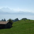 Blick auf spätsommerliche Alpweide