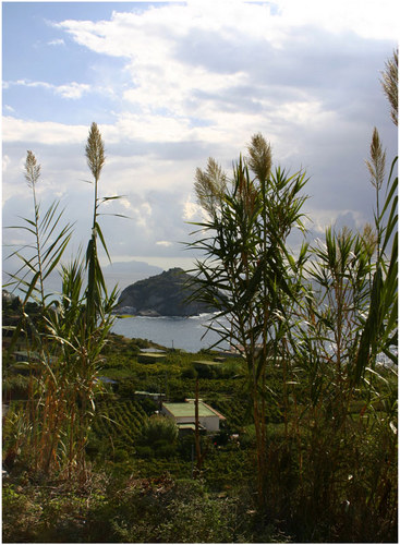 Blick auf st. Angelo auf Ischia