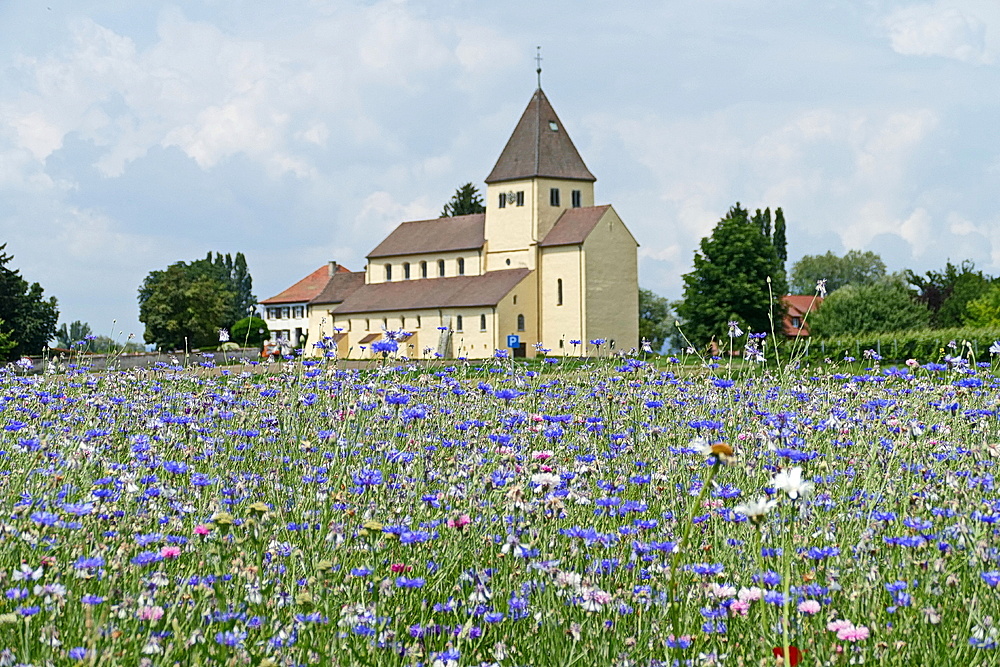 Blick auf St. Georg auf der Insel Reichenau