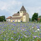 Blick auf St. Georg auf der Insel Reichenau