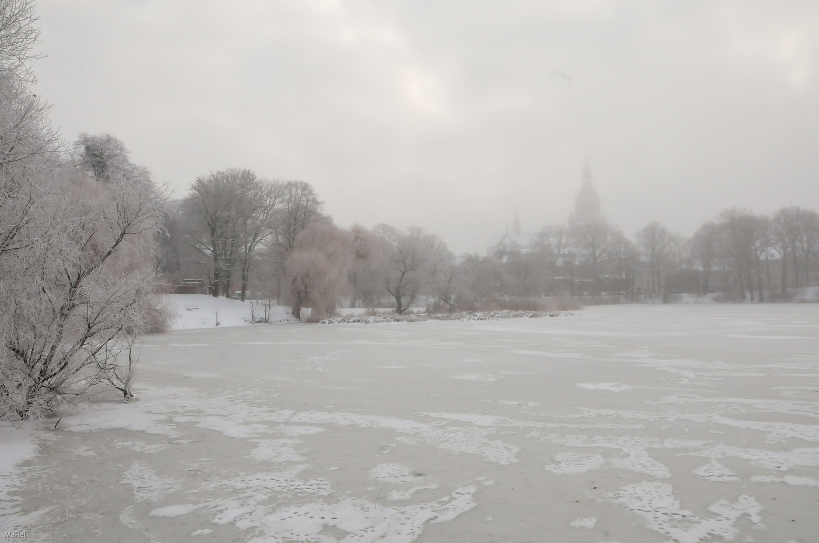 Blick auf St. Marien - Stralsund