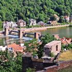 Blick auf Staustufe und Schleuse Heidelberg