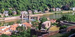Blick auf Staustufe und Schleuse Heidelberg