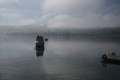 Blick auf Steckborn im Morgendunst