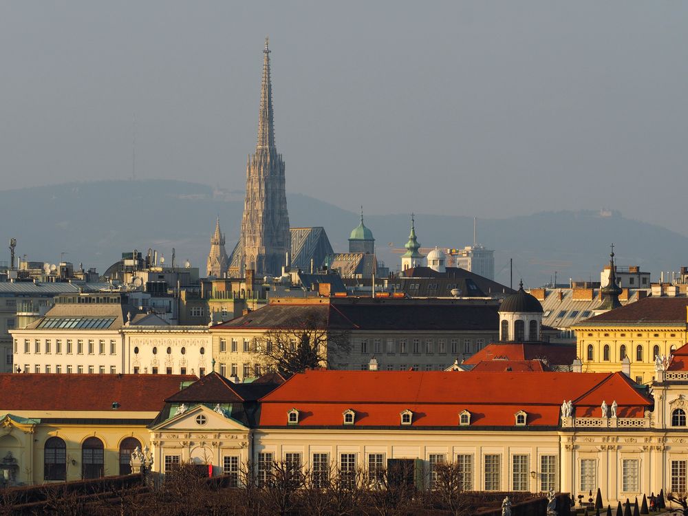 Blick auf Steffel vom Belvedere aus