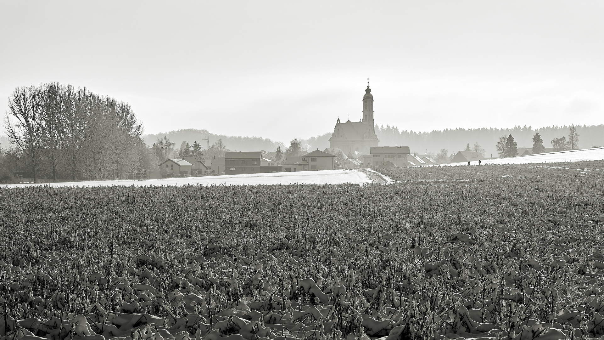 Blick auf Steinhausen 