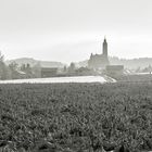 Blick auf Steinhausen 