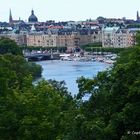 Blick auf Stockholm vom Skansen Park