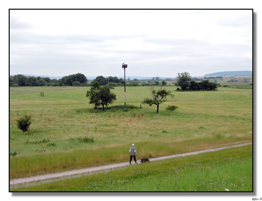 Blick auf Storchennest und Leine-Rückhaltepolder in Salzderhelden/Einbeck.