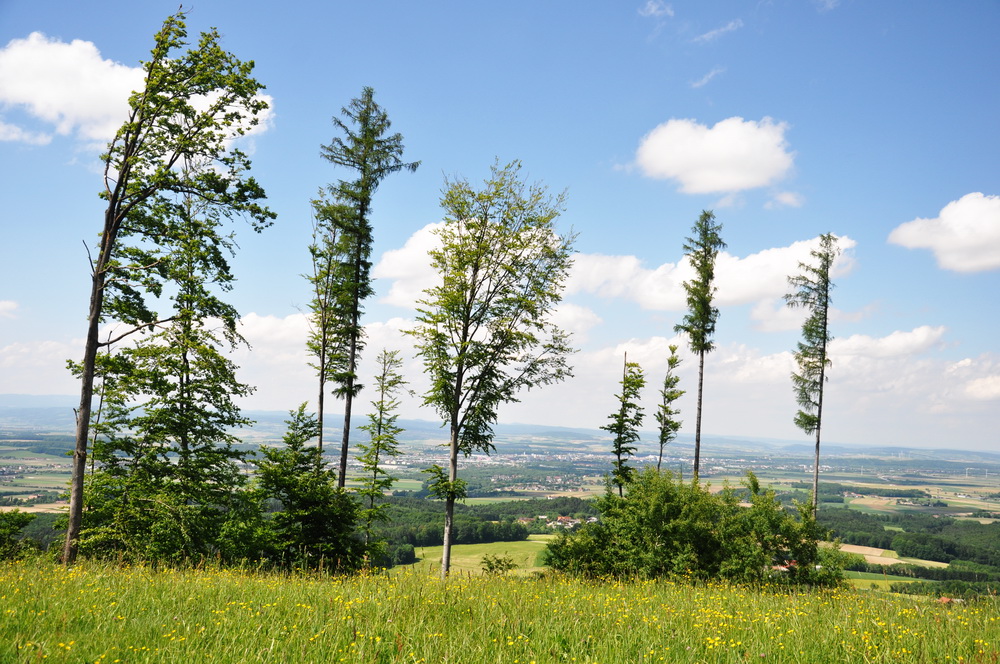 Blick auf St.Pölten