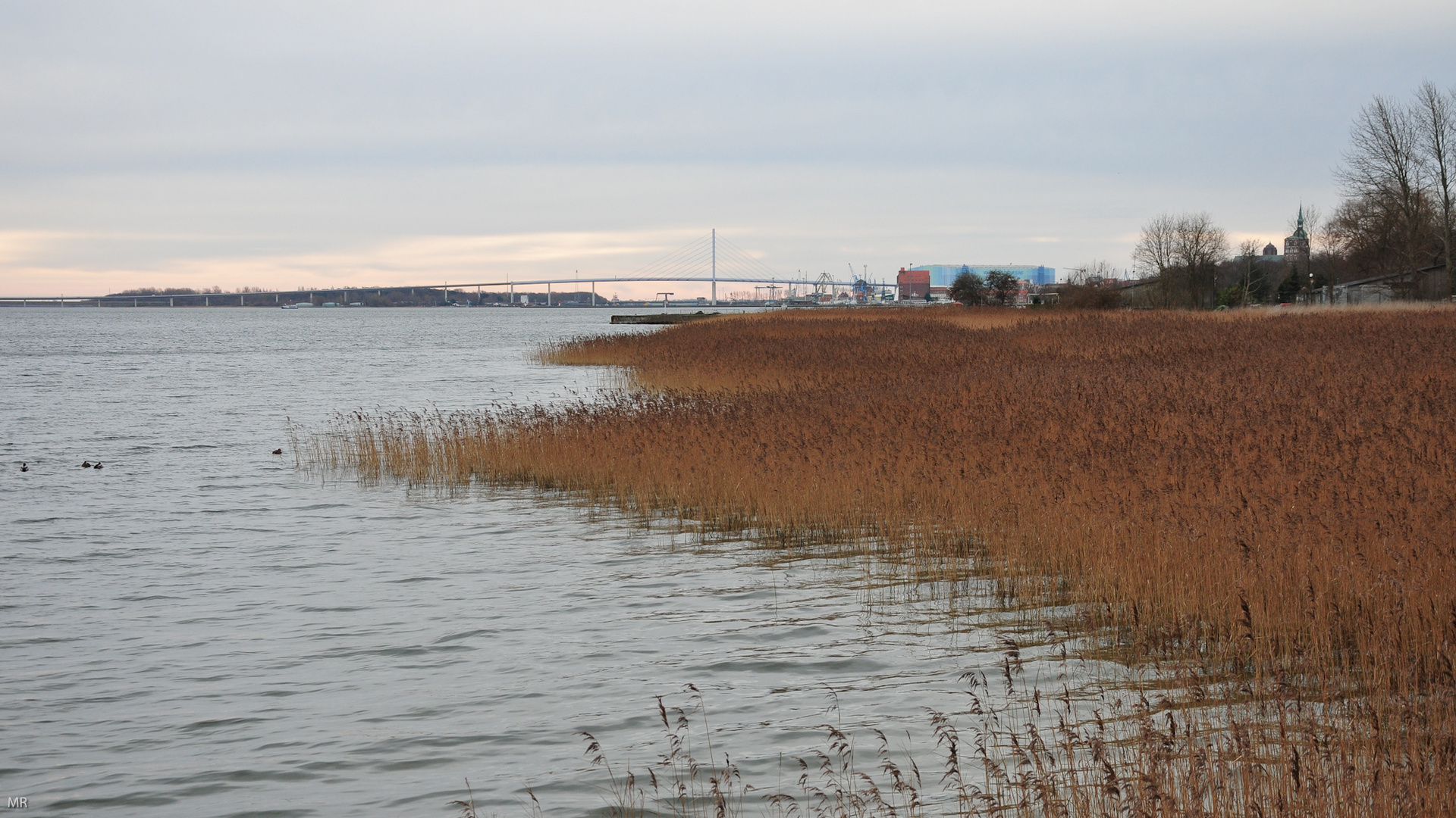 Blick auf Stralsund vom Strandbad