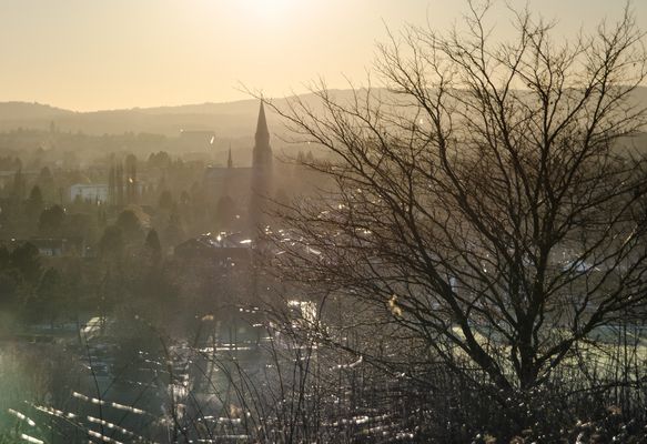 Blick auf St.Severin vom Knopp