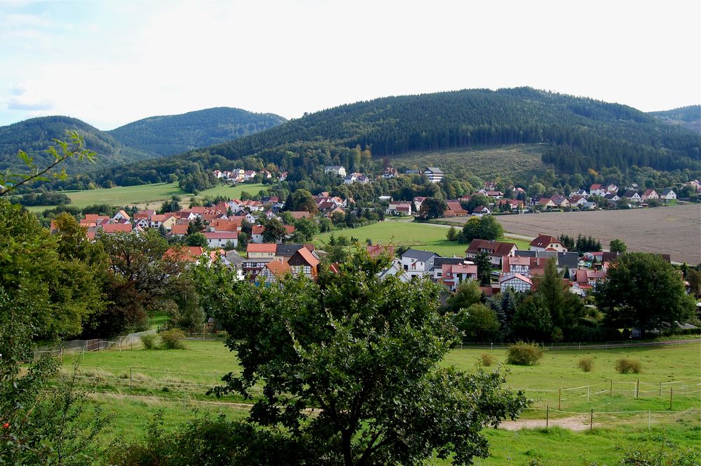 Blick auf Tabarz vom Parkplatz der Inselsbergklinik