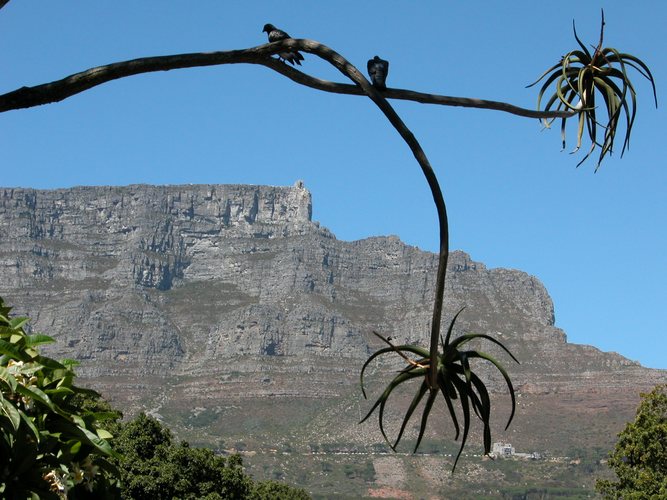 Blick auf Tafelberg